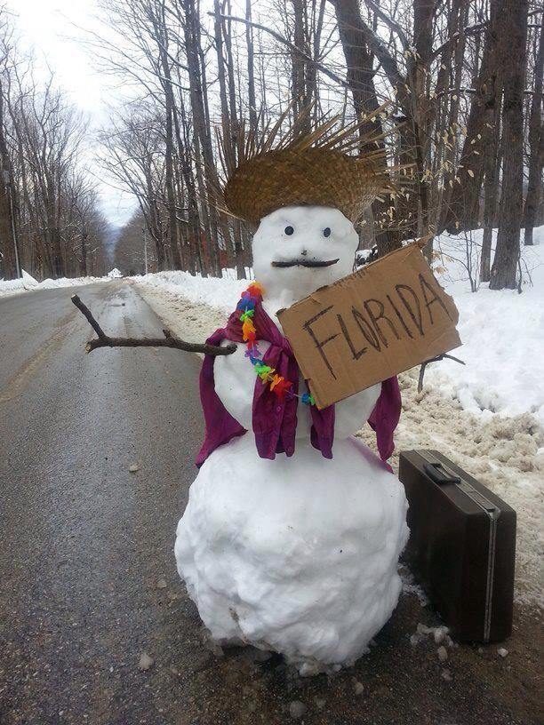 snowman-to-florida-1-2016